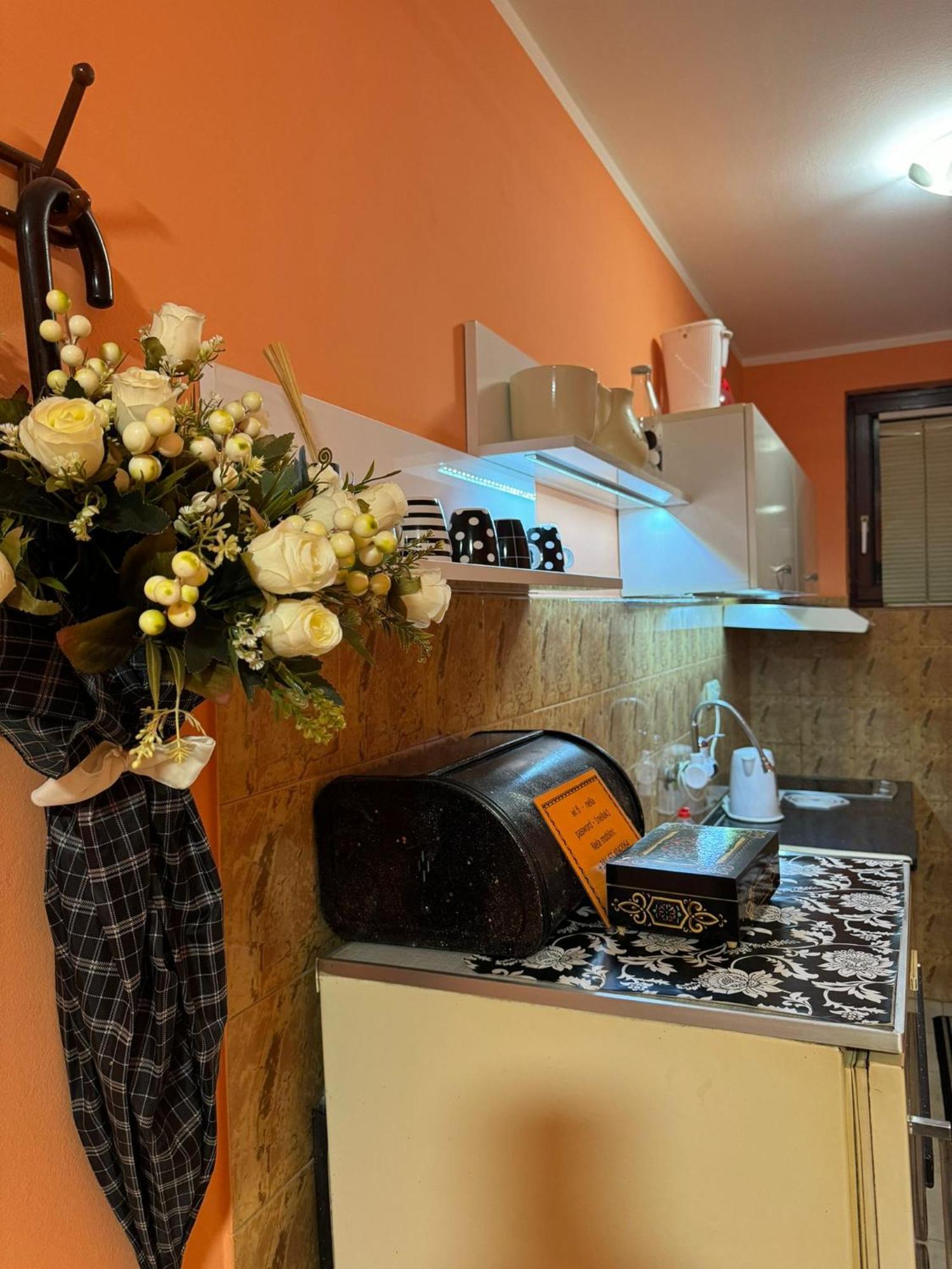 Nela Apartmani Ni Buitenkant foto
