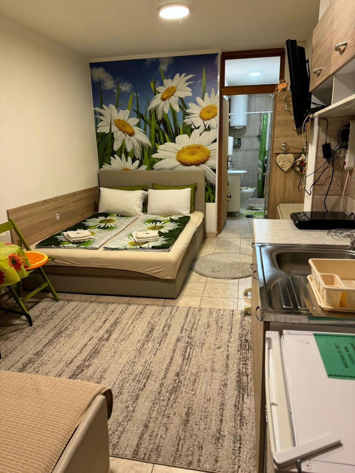 Nela Apartmani Ni Buitenkant foto