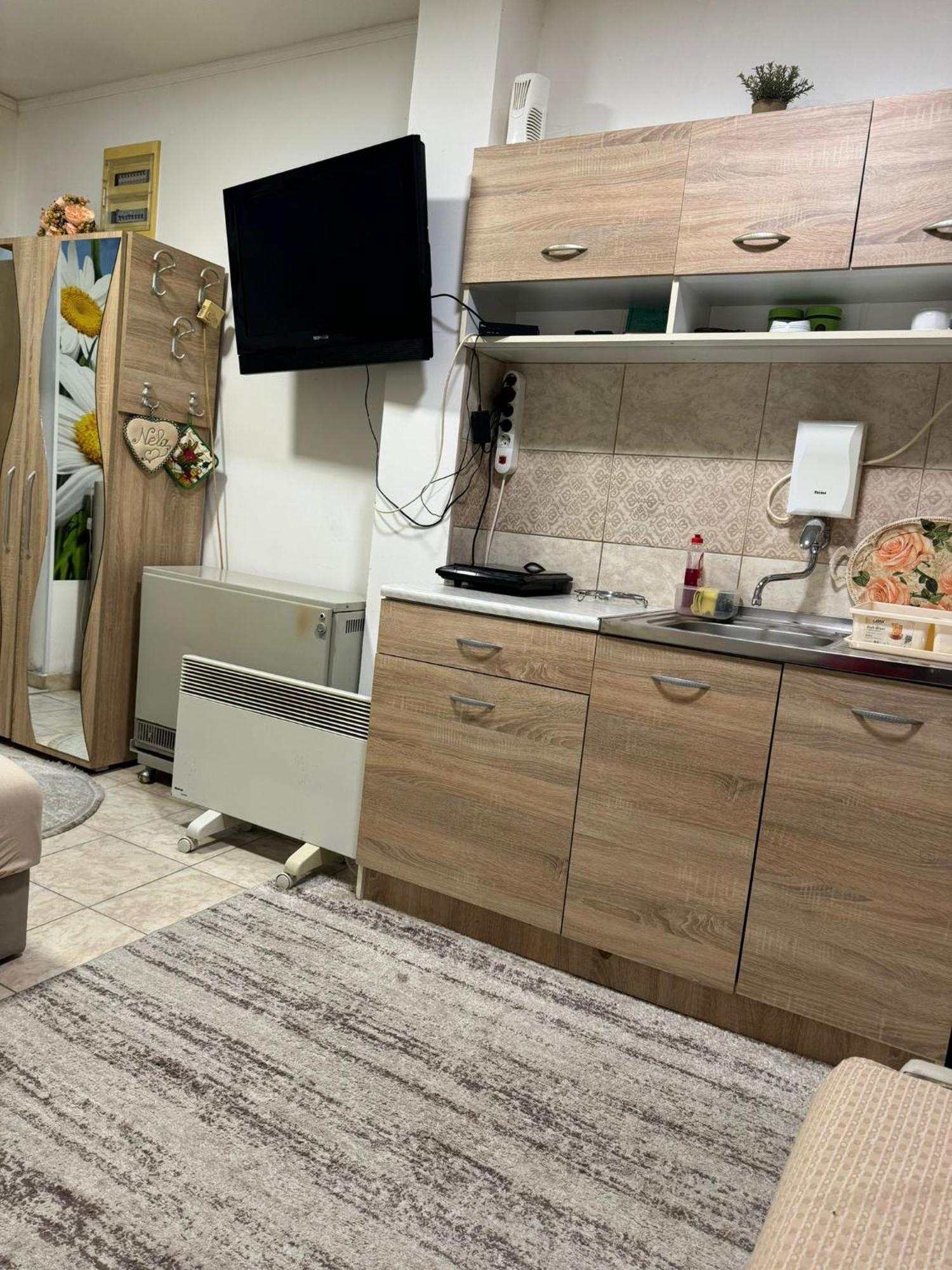 Nela Apartmani Ni Buitenkant foto