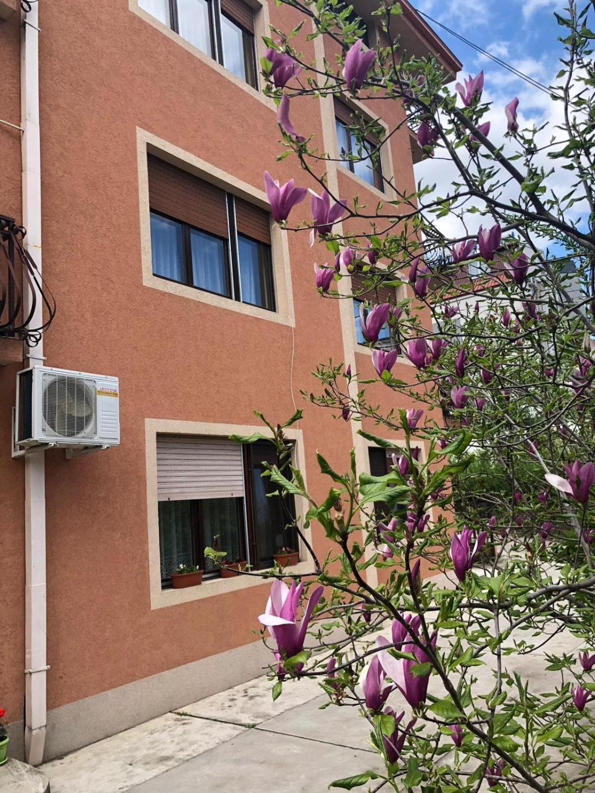 Nela Apartmani Ni Buitenkant foto
